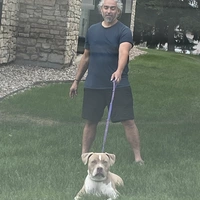 Looking for a roommate in Center Denver, North Denver, Outer Denver - Denver