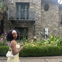 Looking for a roommate in North Portland, NW Portland, SW Portland, NE Portland, SE Portland, East Portland - Portland