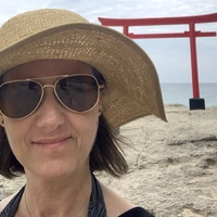 Looking for a roommate in Central, West Side, North Side - Chicago