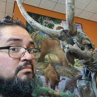 Looking for a roommate in Central SD, Coastal, East SD, Inland, North SD, South SD - San Diego