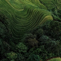 Looking for a roommate in NW DC, Outer VA, Inner VA - Washington DC