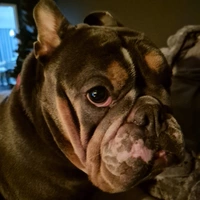 Buscando compañero de cuarto en Central Austin, South Central Austin, North Central Austin, North Austin, East Austin, West Austin, South Austin - Austin