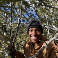 Looking for a roommate in Center Denver, East Denver, West Denver, South Denver, Outer Denver - Denver