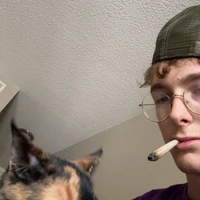 Looking for a roommate in Manhattan, Brooklyn - New York