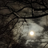 Looking for a roommate in Winston-Salem, Outer Triad - Greensboro