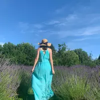 Looking for a roommate in East Van, South Van, West Van, Downtown Van, Burnaby / New West - Vancouver