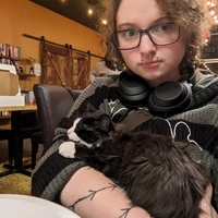 Looking for a roommate in Central Raleigh, North Raleigh, Outer Triangle - Raleigh