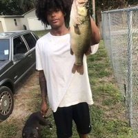 Buscando compañero de cuarto en Clearwater-St. Petersburg - Tampa