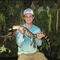 Looking for a roommate in Ne Dallas, Nw Dallas, Sw Dallas, Se Dallas - Dallas