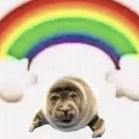 Looking for a roommate in Ne Dallas, Sw Dallas, Se Dallas - Dallas