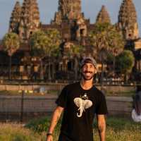 Looking for a roommate in East Van, North Shore Vancouver, Outer Vancouver, South Van, West Van, Downtown Van, Burnaby / New West, Surrey - Vancouver