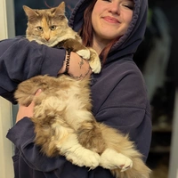 Looking for a roommate in Downtown Van - Vancouver