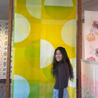 Buscando compañero de cuarto en Manhattan, Brooklyn, Queens - New York