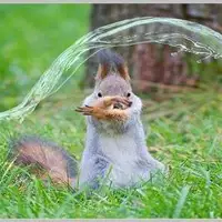 Looking for a roommate in NW DC, Inner VA - Washington DC