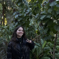 Buscando compañero de cuarto en Central Orlando, South Orlando, North Orlando, East Orlando, West Orlando - Orlando