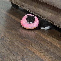 Room for rent in Marietta - North Atl, Atlanta