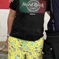 Buscando compañero de cuarto en South Philadelphia, West Philadelphia - Philadelphia