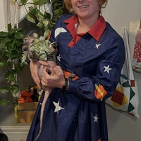 Looking for a roommate in Center Denver, North Denver, East Denver, West Denver, South Denver, Outer Denver - Denver