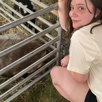 Room for rent in Greenwood Indy - South Indy, Indianapolis