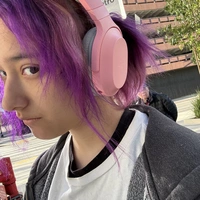 Looking for a roommate in Central Los Angeles - Los Angeles