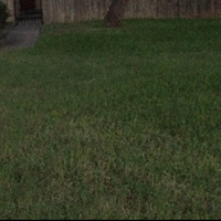 Cuarto en Renta en Anderson Mill - North Austin, Austin