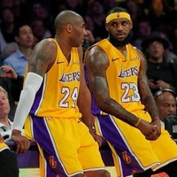 Looking for a roommate in Manhattan - New York