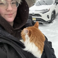 Looking for a roommate in Manhattan - New York