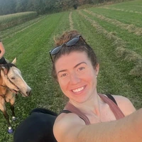 Buscando compañero de cuarto en Downtown TO, York Region, Mississauga, North York, Etobicoke, West TO, Midtown TO - Toronto