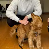 Looking for a roommate in Downtown TO, West TO - Toronto