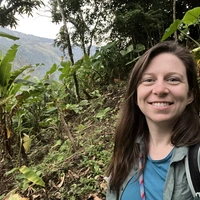 Looking for a roommate in Central ABQ, Eastside ABQ, North Valley, Outer ABQ - Albuquerque