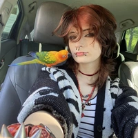 Buscando compañero de cuarto en Boston - Boston