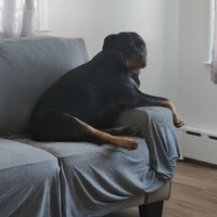 Cuarto en Renta en South Shore - South Shore, Boston