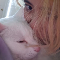 Cuarto en Renta en Hillsdale - SW Portland, Portland