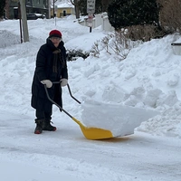 Buscando compañero de cuarto en Boston, Cambridge, Metro Area - Boston