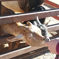 Buscando compañero de cuarto en Downtown TO, York Region, Durham Region, Mississauga, Southern Ontario, North York, Etobicoke, Scarborough, East TO, West TO, Midtown TO - Toronto