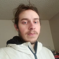 Looking for a roommate in Center Denver, North Denver, East Denver, West Denver, South Denver, Outer Denver - Denver