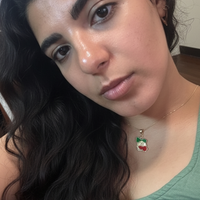 Buscando compañero de cuarto en Inner Loop, Ne Houston, Nw Houston, Se Houston, Sw Houston, West Houston - Houston