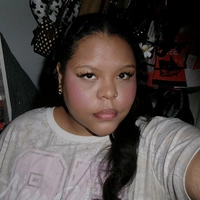 Looking for a roommate in Inner Loop, Nw Houston, West Houston - Houston