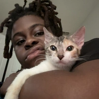 Looking for a roommate in West Orlando - Orlando