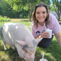 Room for rent in South Shore - South Shore, Boston