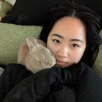 Buscando compañero de cuarto en Manhattan, Brooklyn, Queens, Staten Island, The Bronx, Jersey City / Hoboken - New York