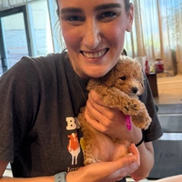 Looking for a roommate in Manhattan, Brooklyn - New York