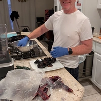 Buscando compañero de cuarto en Coastal, Inland, North SD - San Diego