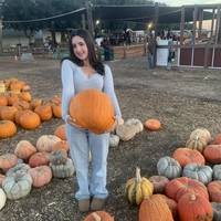 Looking for a roommate in West SAC - Sacramento