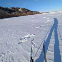 Looking for a roommate in Downtown TO, North York, Etobicoke, East TO, West TO, Midtown TO - Toronto