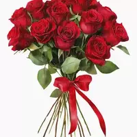 Cuarto en Renta en Edmond - NE OKC, Oklahoma City