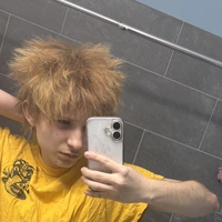 Looking for a roommate in NE Portland, SE Portland - Portland