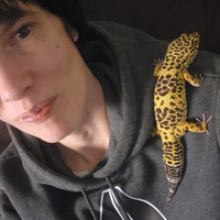 Looking for a roommate in East Bench, Ogden-Layton - Salt Lake City