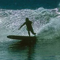 Cuarto en Renta en Oakland Hills - East Bay, San Francisco