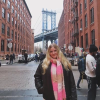 Buscando compañero de cuarto en Clearwater-St. Petersburg - Tampa